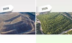 Maden sahaları rehabilitasyonla yeniden canlanıyor