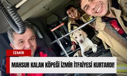 Suların arasında mahsur kalan köpeği İzmir İtfaiyesi kurtardı!