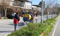 Menderes’te ot ilaçlama çalışmaları başladı
