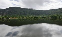 Ödemiş'te yaylanın geleceği masada
