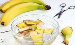 Saksı çiçekleriniz kışın kurumasın! Toprağa 1 ölçek ekleyin, farkı izleyin