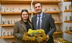 Tohum Takas Şenliği 14 Şubat’ta başlıyor