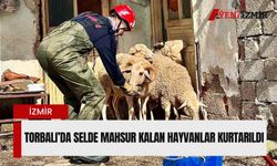 Torbalı’da selde mahsur kalan hayvanlar kurtarıldı