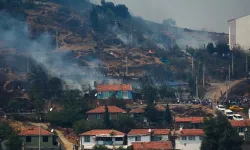 Yamanlar’da rant mı var? İzmir Orman Bölge Müdürlüğü iddiaları yalanladı