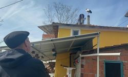 Bahar müjdesi: Yaren leyleğin eşi yuvaya erken döndü!