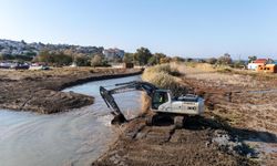 Yarımada’da dev temizlik! 125 bin ton çıkarıldı