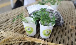 Efes Selçuk’tan yerel tohumlar tüm Türkiye’ye yayılıyor