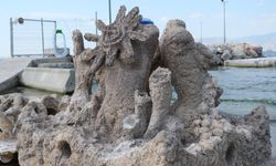 Midye kabukları ile İzmir Körfez hayat bulacak