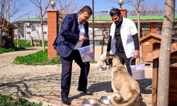 Seferihisar’da sıfır atıkla mama üretimi başladı