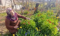 Kütahya'da "Ağlayan Gelin" bahçeleri görsel şölen sunuyor