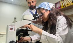 Acıdan ilham aldı, kanseri yakalayan sistem geliştirdi