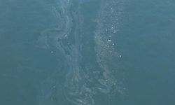 İzmir Körfezi’nde dikkat çeken görüntüler