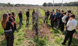 Buca’nın bağlarında mühendisler yetişiyor