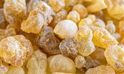 Doğanın botoks etkisi: Akgünlük sakızı serumu nedir, nasıl kullanılır?