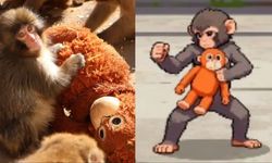 Fenomen maymun Punch artık bir oyun kahramanı