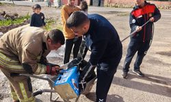 Hatay’da mahsur köpekleri itfaiye ekipleri kurtardı