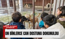 İzmir’de 'tek sağlık' seferberliği: İki yılda on binlerce can dostuna dokunuldu