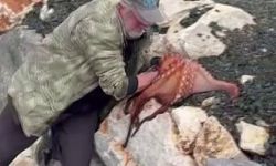 İzmir Karaburun’da elleriyle ahtapotu yakaladı