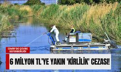 İzmir’de çevre seferberliği: İki yılda 6 milyon TL’ye yakın 'kirlilik' cezası!