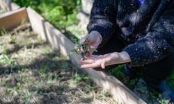 İzmir'deki kurs hayatını değiştirdi: Bahçede üretime başladı!