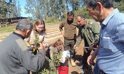 İzmir’in damla sakızı KKTC’de yetiştirilecek