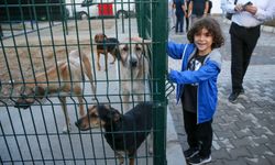 Karşıyaka, Çiğli ve Bayraklı’dan örnek iş birliği