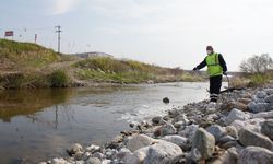 Kemalpaşa’da haşerelere karşı mücadele başladı