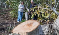 Kemalpaşalı üreticiye umut olan destek