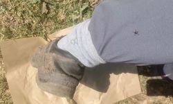 Kene kabusu geri geldi!