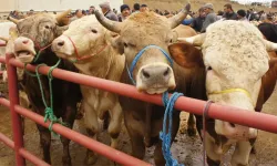 Kurban Bayramı ne zaman? 2026 bayram tatili 9 gün olacak mı?