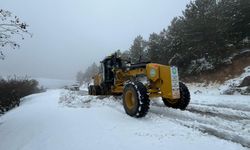 Spil’de bahar sürprizi: Manisa’da bayramda kar mesaisi