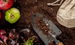 Çiftçiye 10,6 milyar liralık cansuyu: Mazot ve gübre desteğinde yeni dönem