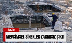 İzmir’de mevsimsel sinekler zararsız çıktı