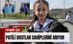 İzmir’de patili dostlar sahiplerini arıyor