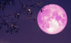 2026 Pembe Dolunay ne zaman, saat kaçta? Nisan ayı dolunayı Türkiye'den izlenecek mi?