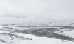 Sarısu sazlıklarında kış manzarası büyülüyor