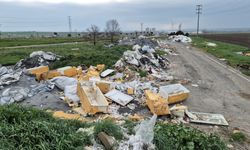 Tekirdağ’da Ballıhoca merasına tonlarca atık döküldü