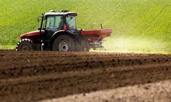 Türkiye'de gübre ve gıda krizi mi yaşanıyor? DMM'den açıklama geldi!