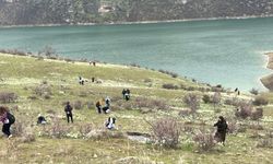 Baharın müjdecisi nergisler doğaseverleri Takoran Vadisi’nde buluşturdu