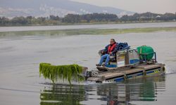 İzmir’de yosun alarmı