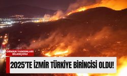 2025 orman yangınları bilançosu: İzmir Türkiye birincisi oldu!