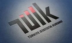 Türkiye'nin suç haritası açıklandı: Zirvede kim var?