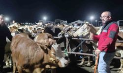 Alıcı 'yüksek' satıcı 'uygun' diyor! Hayvan pazarında yoğun kurban mesaisi