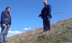 Bakması bedava, koparmanın cezası 700 bin TL!