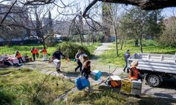 Kedili Park yeniden güvenli yaşam alanına dönüştü