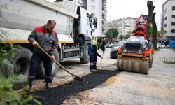 Bornova’da Zafer Caddesi baştan sona yenileniyor