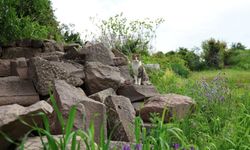 Çeşme’de otizm farkındalığı için yürüyüş düzenlendi