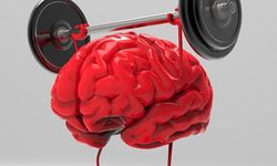 Hafıza nasıl güçlenir? Bilimden 5 yöntem