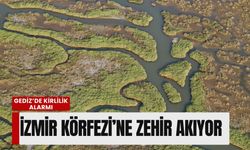 Gediz’de kirlilik alarmı: İzmir Körfezi’ne zehir akıyor