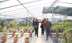 Karşıyaka Belediyesi kendi ürettiği bitkilerle parkları yeşillendiriyor